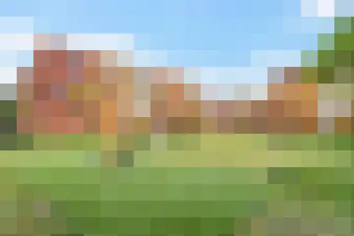 Operatie Mannahof 10 Nootdorp thumbnail 52