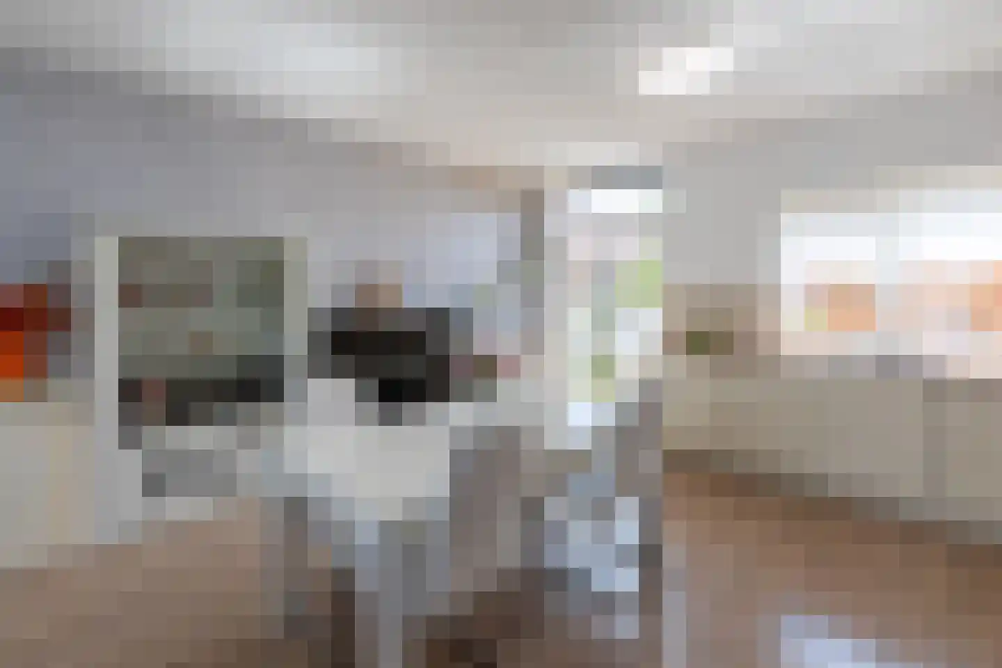 Operatie Mannahof 51 Nootdorp thumbnail 10
