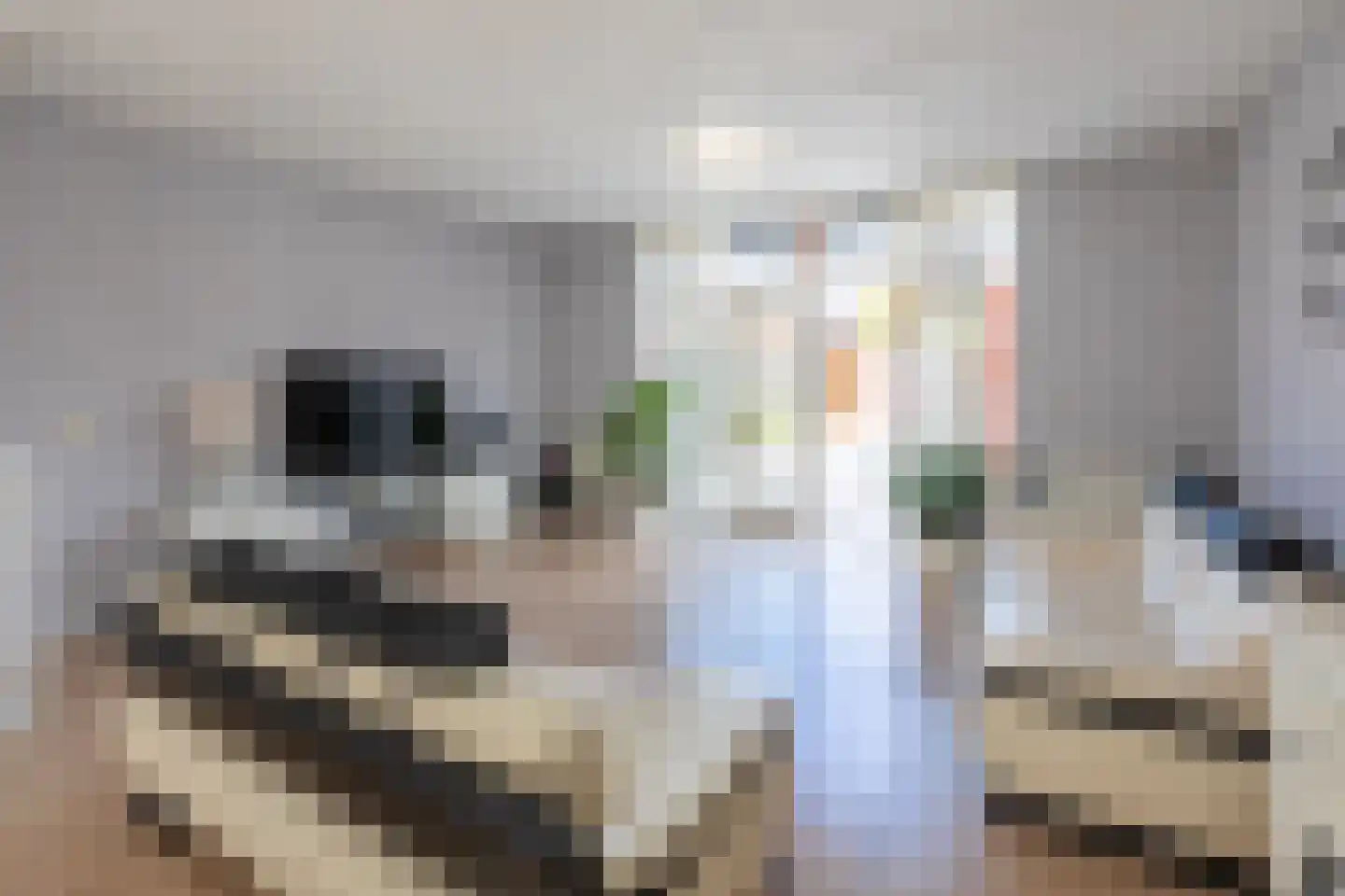Operatie Mannahof 51 Nootdorp thumbnail 12