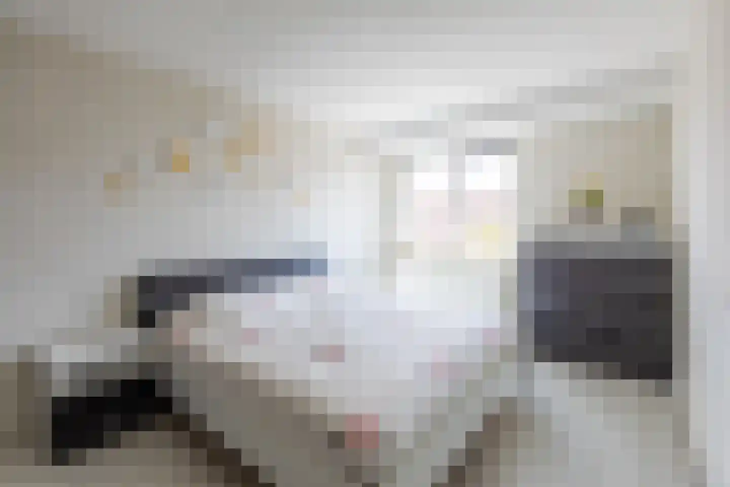 Operatie Mannahof 51 Nootdorp thumbnail 19