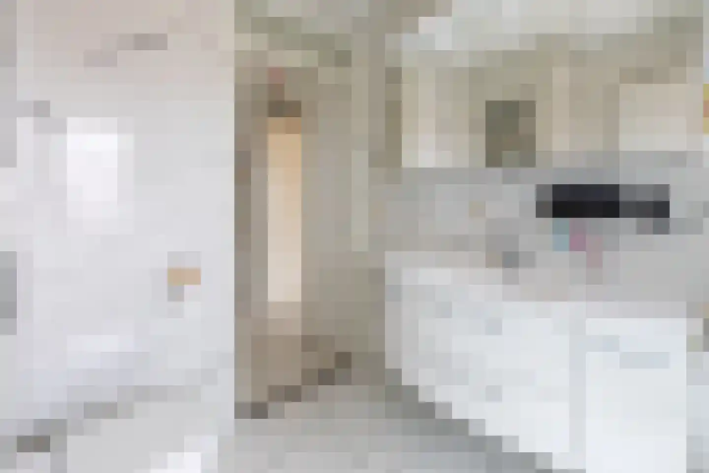 Operatie Mannahof 51 Nootdorp thumbnail 22