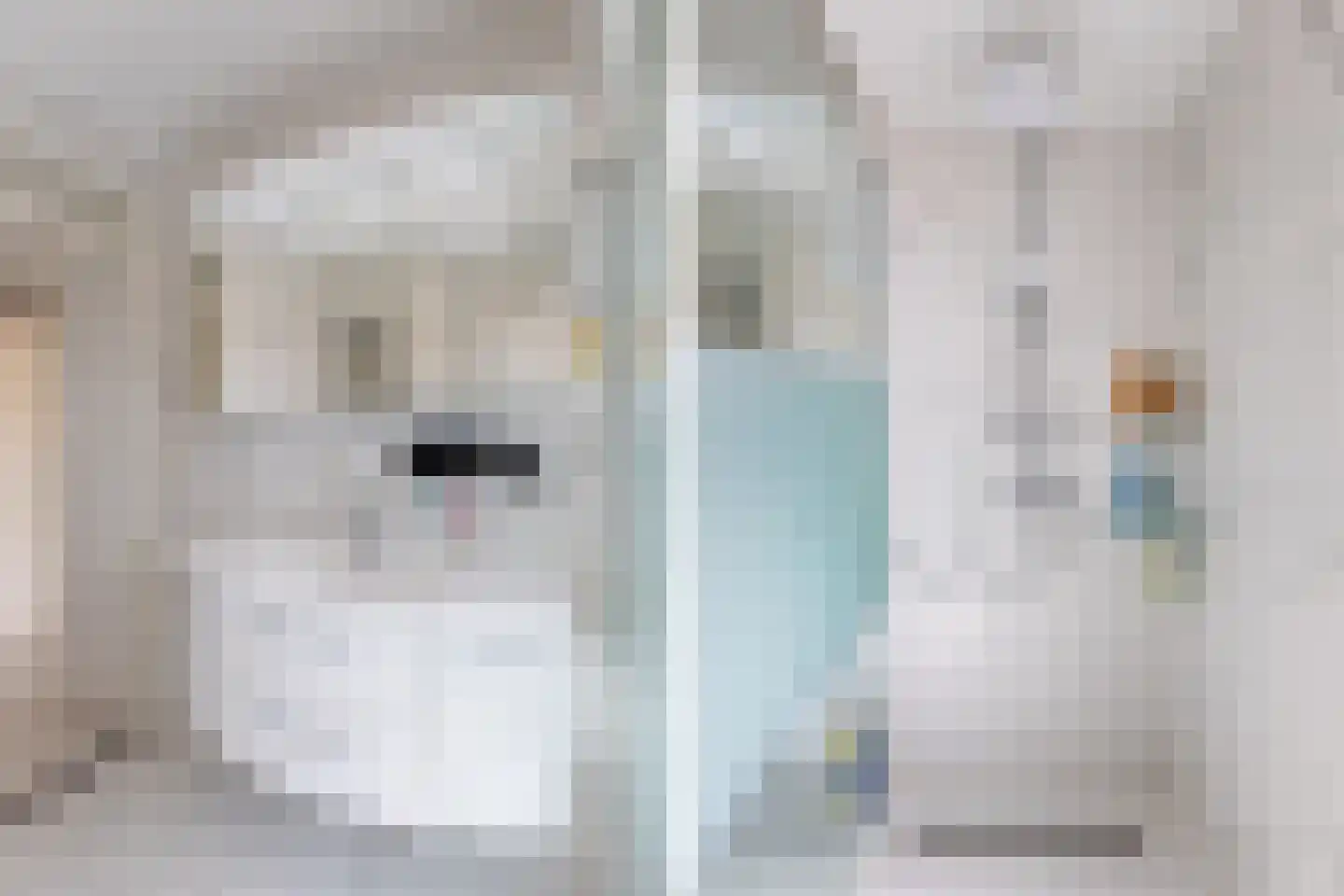 Operatie Mannahof 51 Nootdorp thumbnail 24