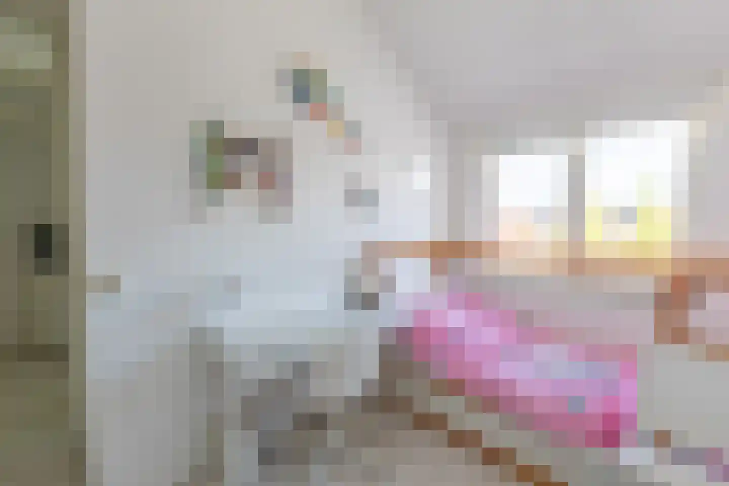 Operatie Mannahof 51 Nootdorp thumbnail 30