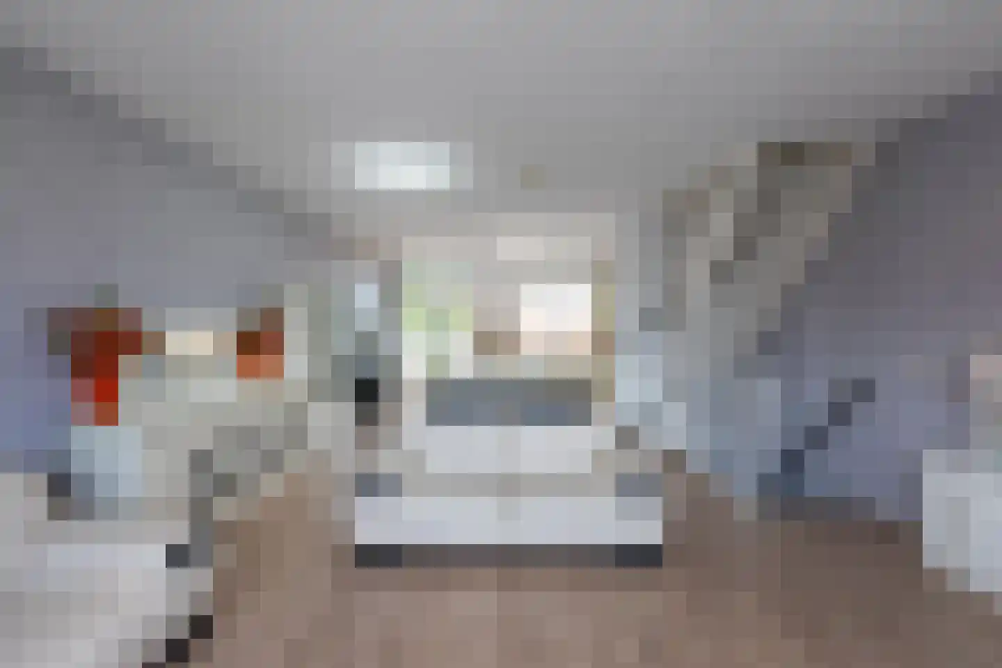 Operatie Mannahof 51 Nootdorp thumbnail 4