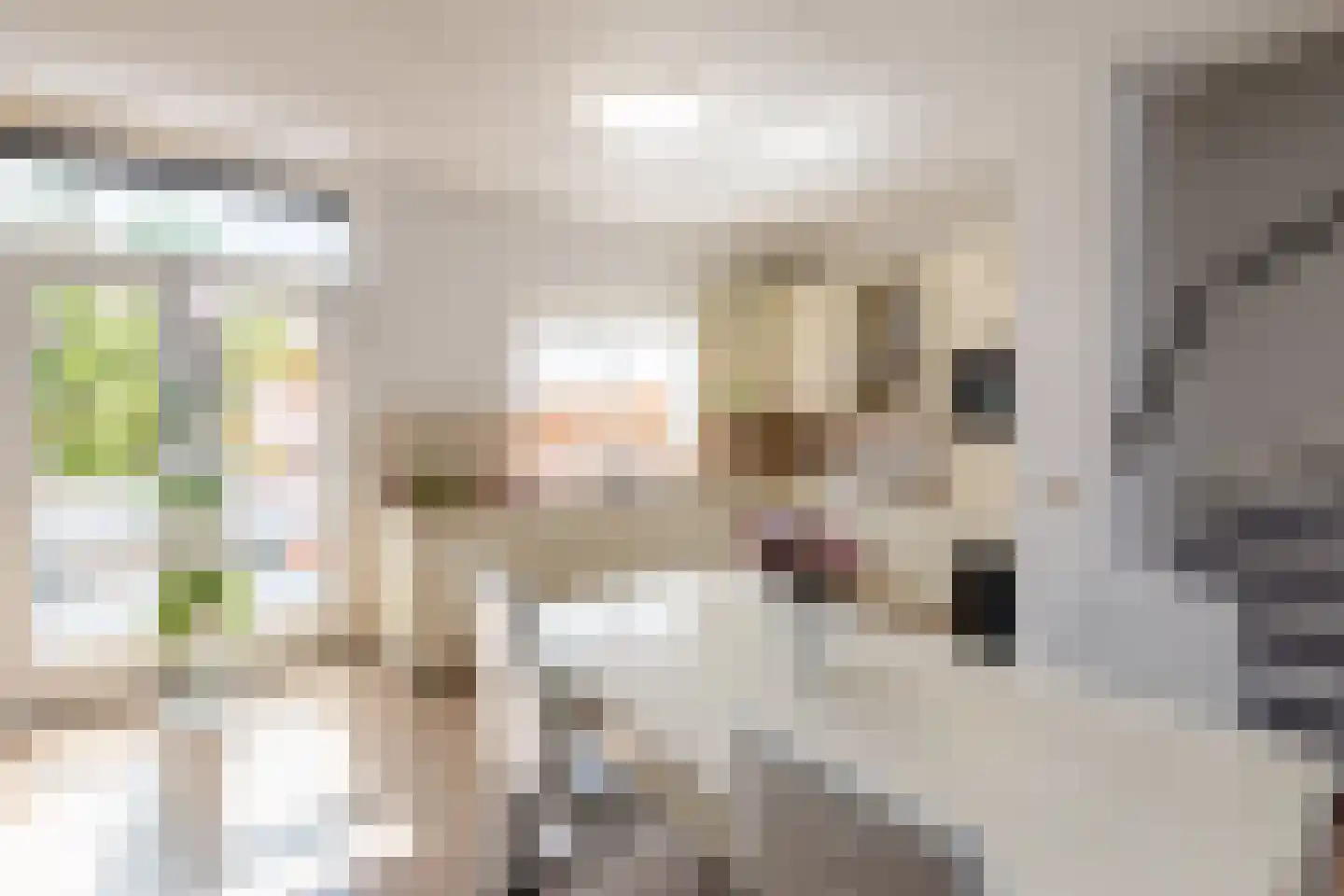 Operatie Mannahof 51 Nootdorp thumbnail 6