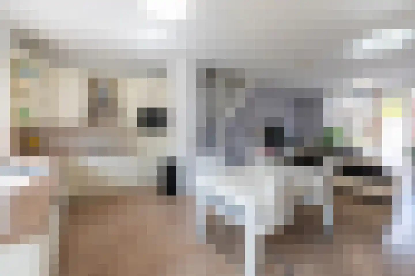 Operatie Mannahof 51 Nootdorp thumbnail 7