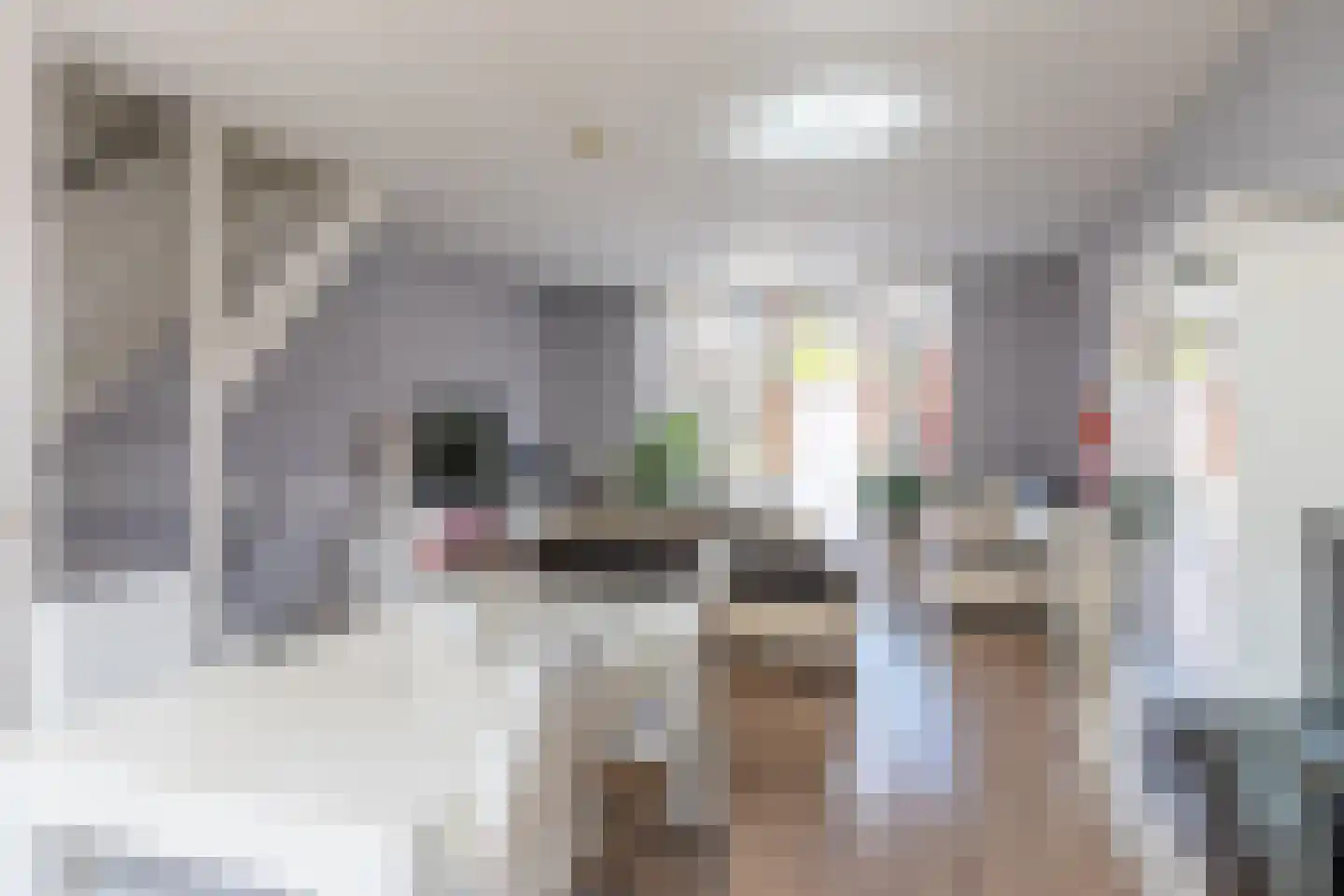 Operatie Mannahof 51 Nootdorp thumbnail 8