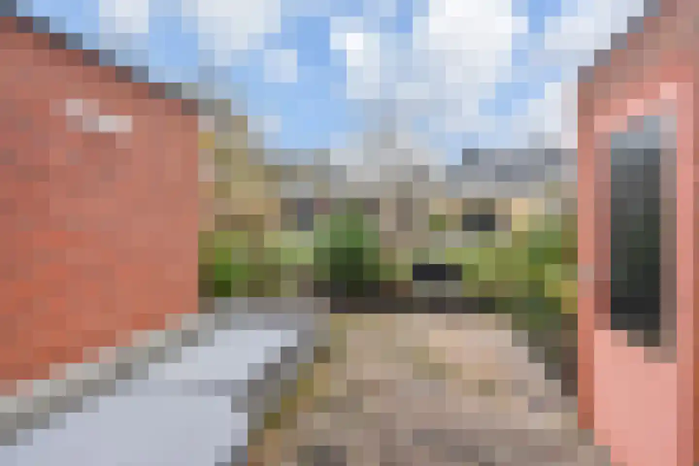 Operatie Mannahof 60 Nootdorp thumbnail 14