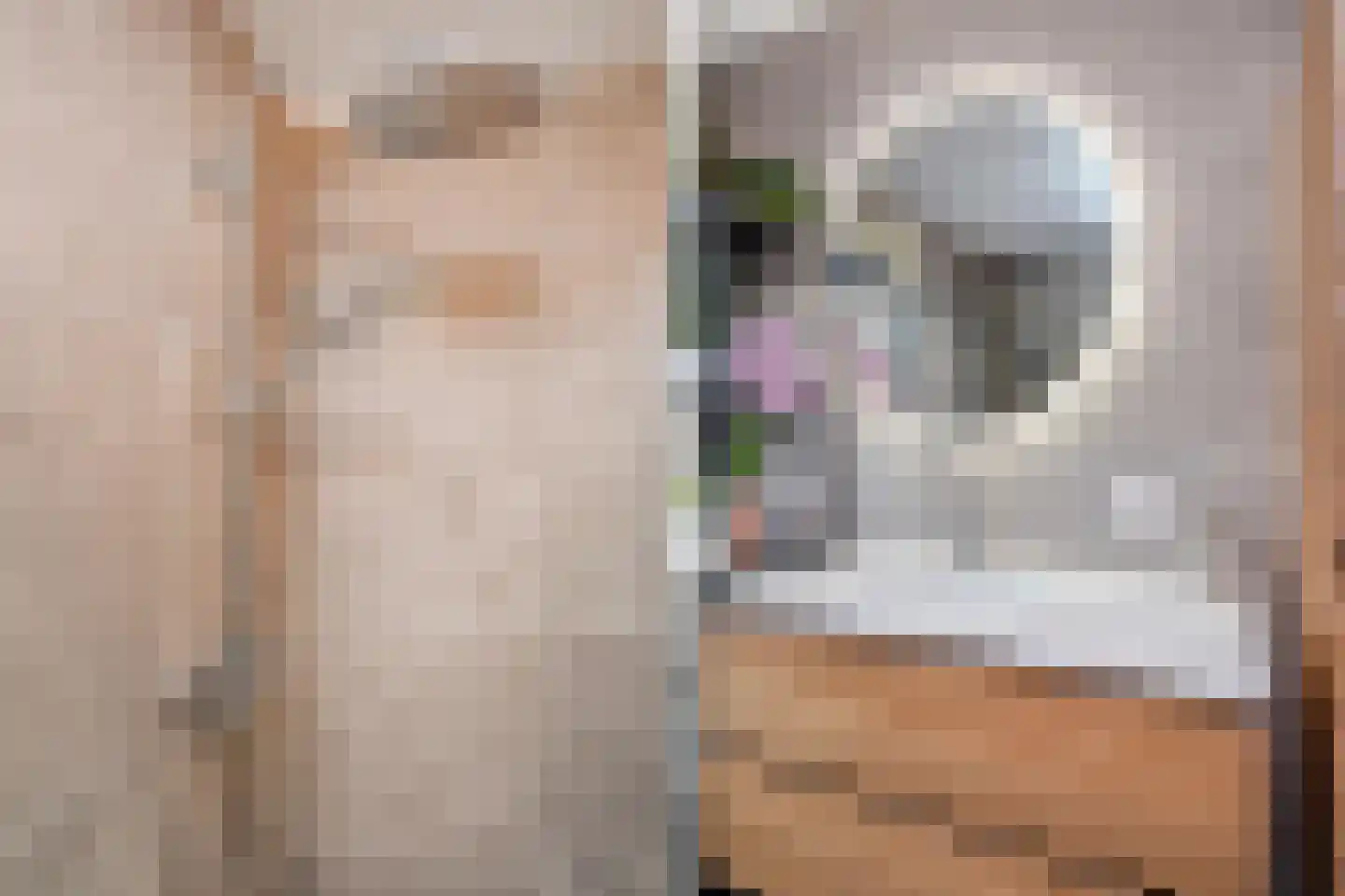 Operatie Mannahof 60 Nootdorp thumbnail 26