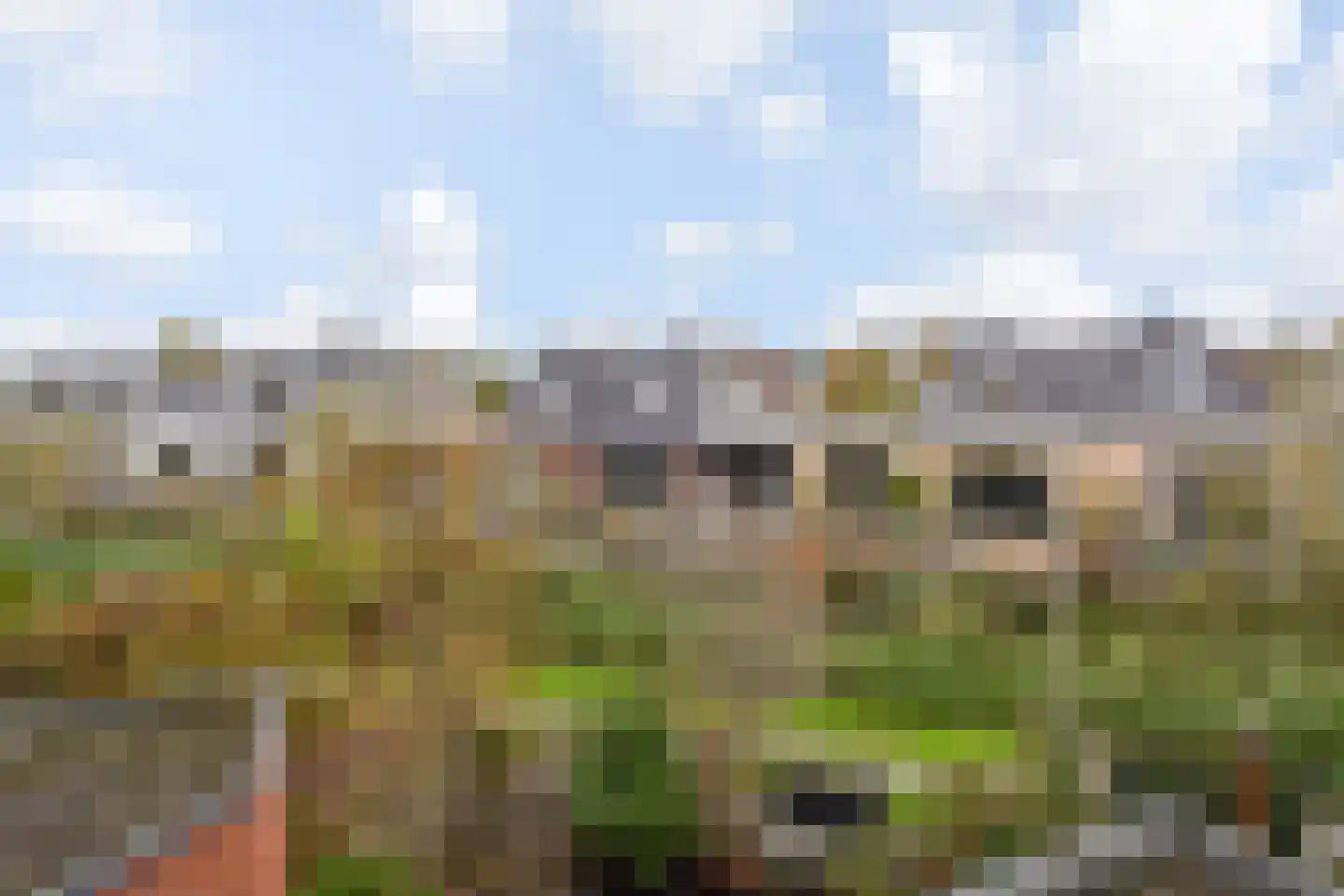 Operatie Mannahof 60 Nootdorp thumbnail 39