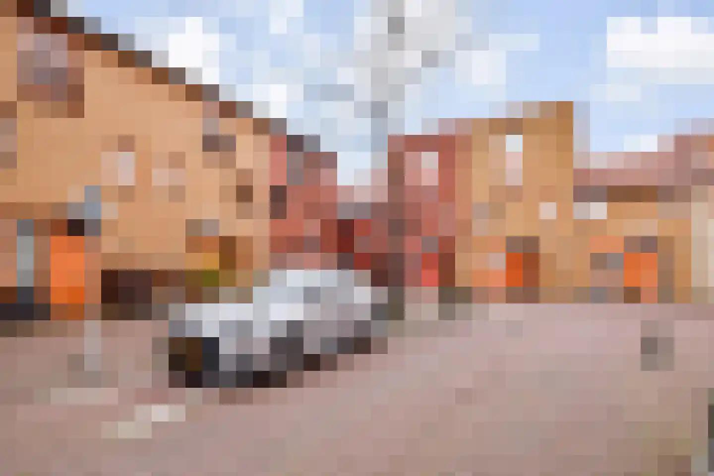 Operatie Mannahof 60 Nootdorp thumbnail 44