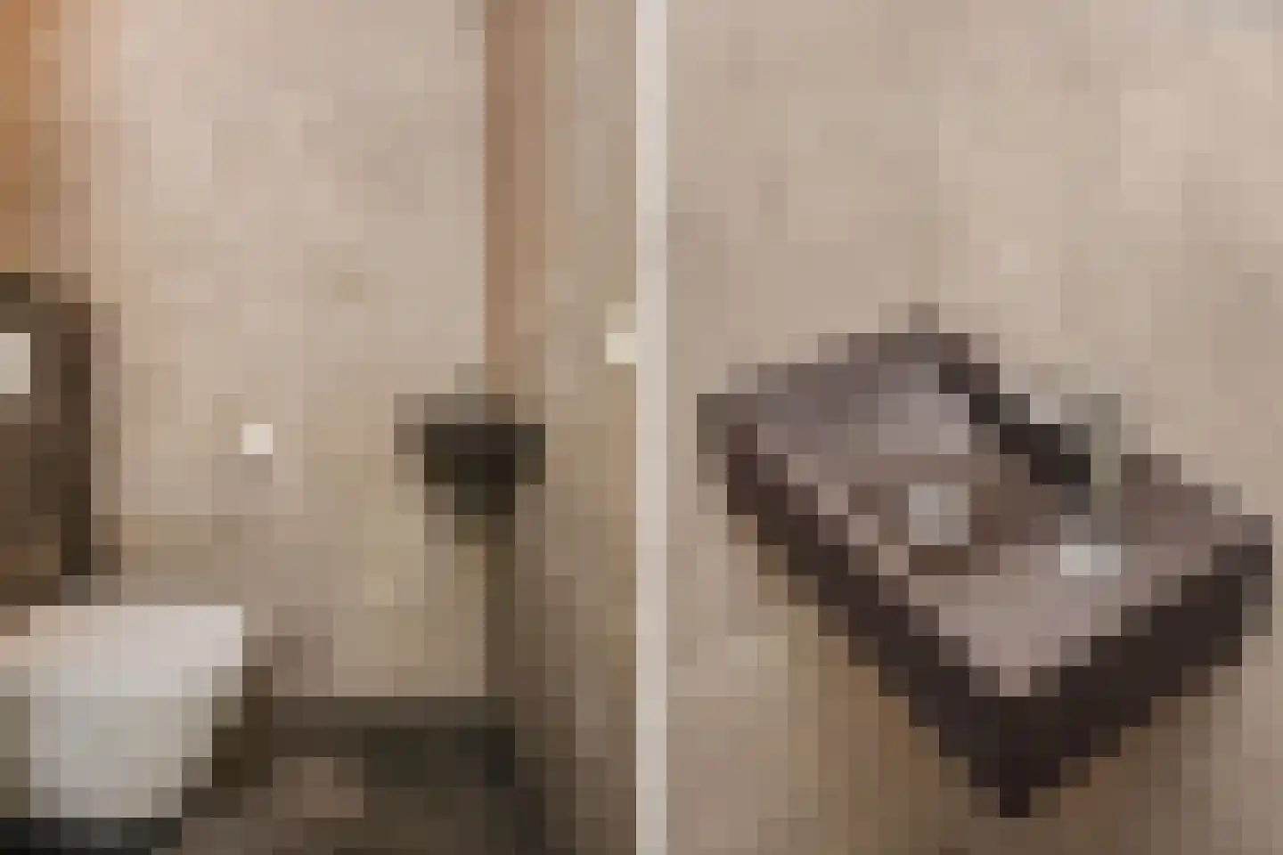 Operatie Mannahof 60 Nootdorp thumbnail 8