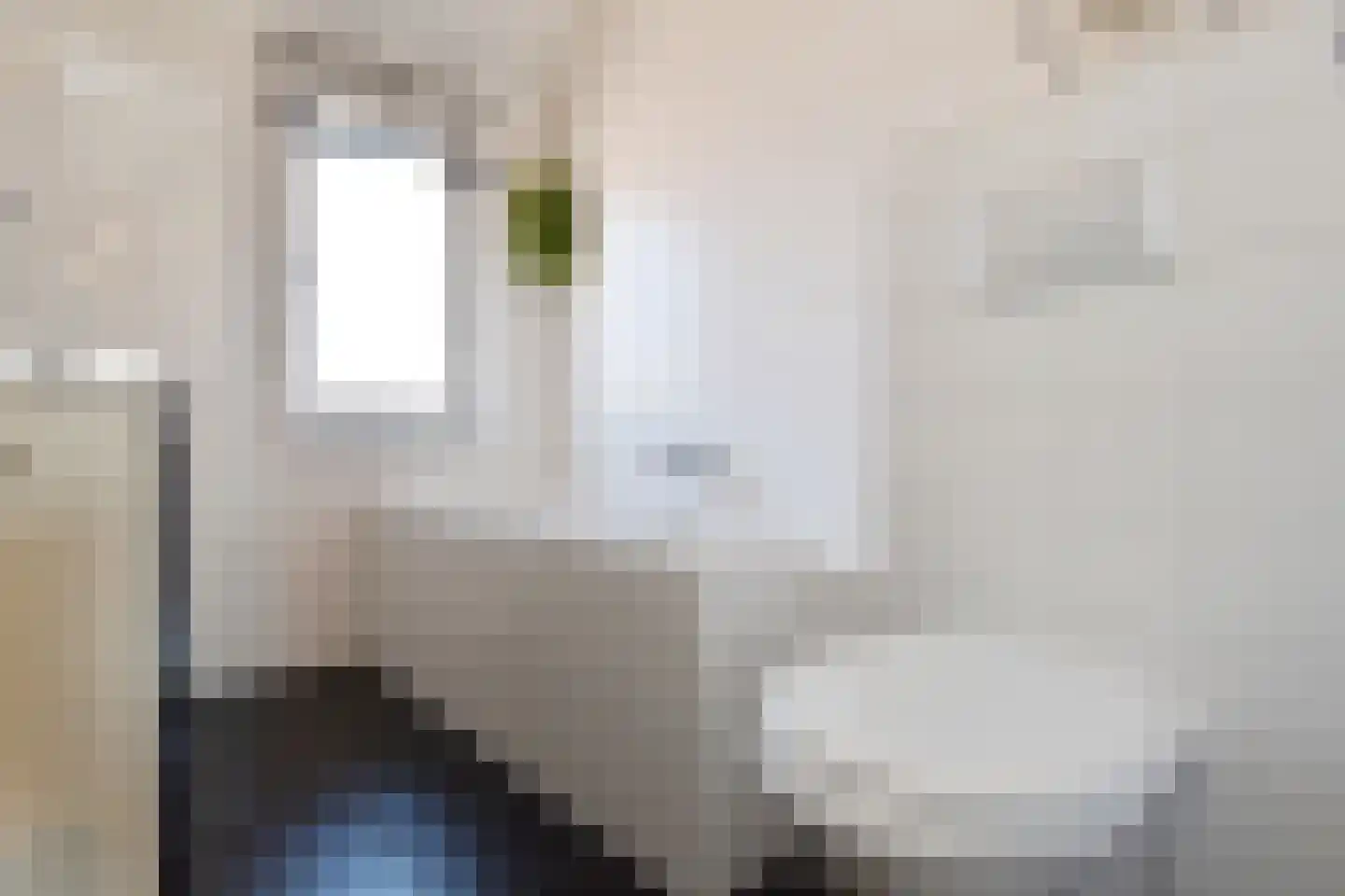 Operatie Mannahof 7 Nootdorp thumbnail 12