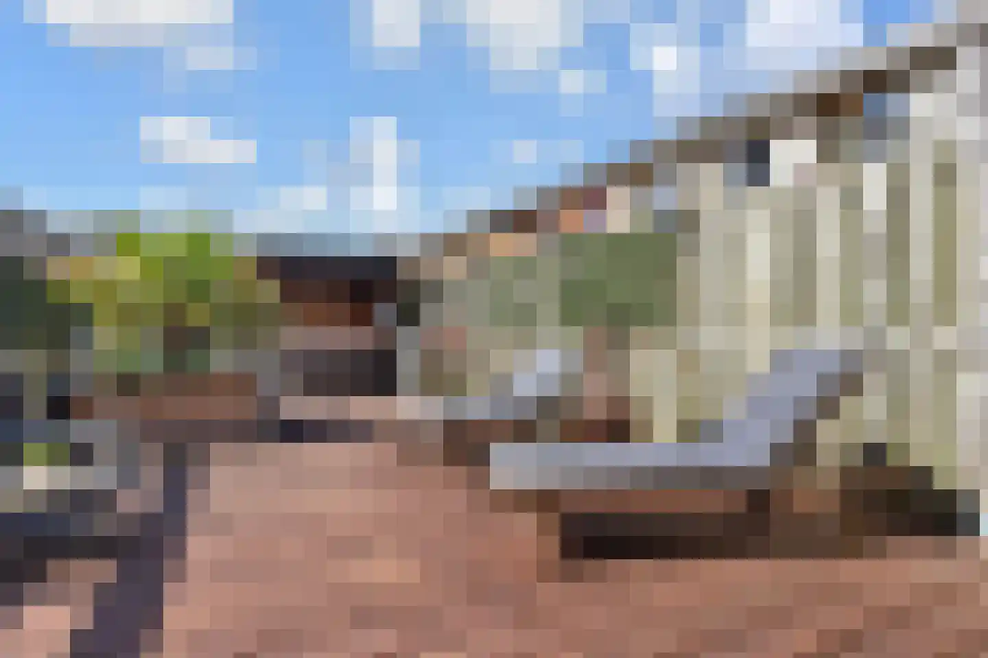 Operatie Mannahof 7 Nootdorp thumbnail 17