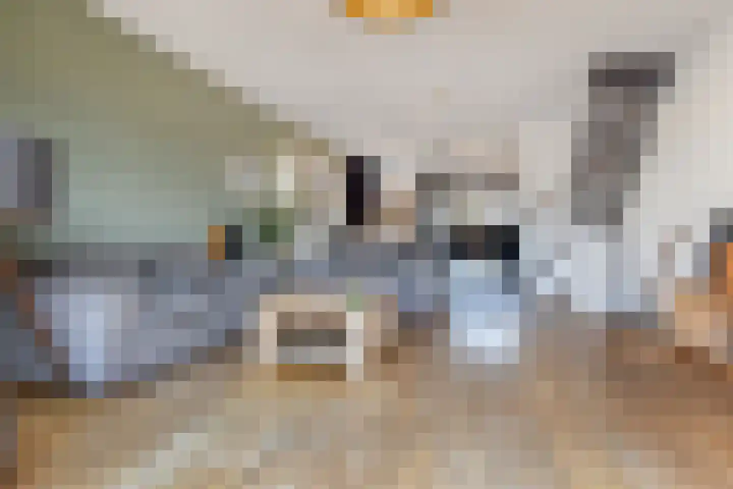 Operatie Mannahof 7 Nootdorp thumbnail 21
