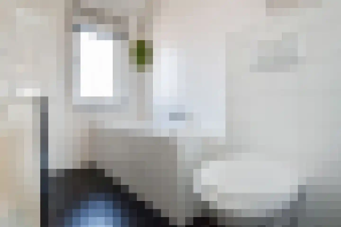 Operatie Mannahof 7 Nootdorp thumbnail 30