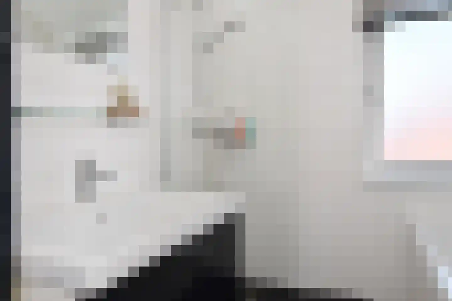 Operatie Mannahof 7 Nootdorp thumbnail 31