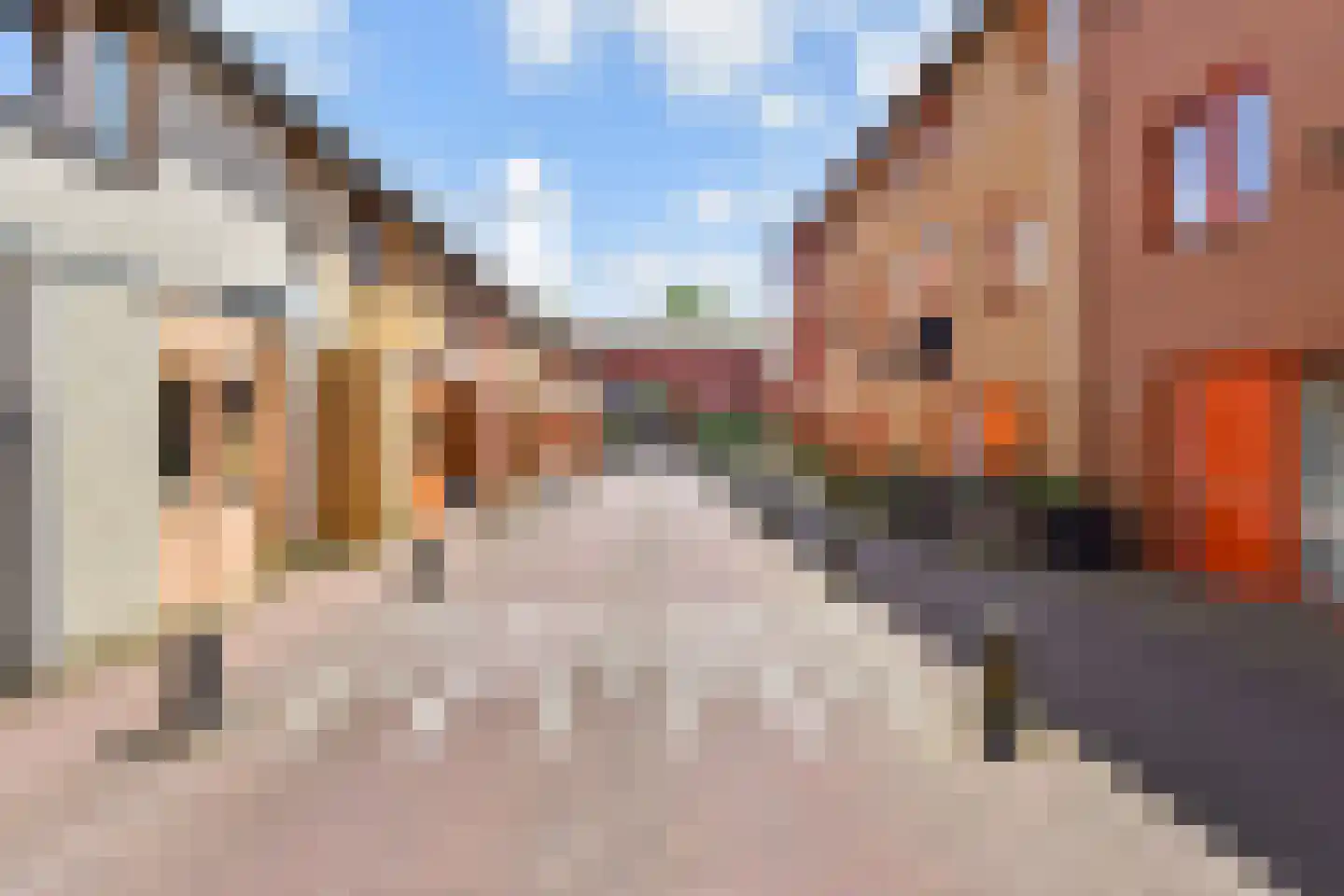 Operatie Mannahof 7 Nootdorp thumbnail 32