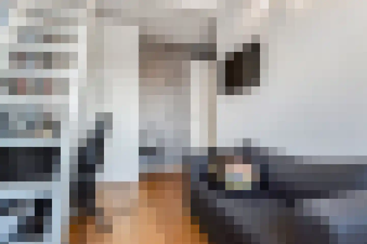 Operatie Mannahof 7 Nootdorp thumbnail 36