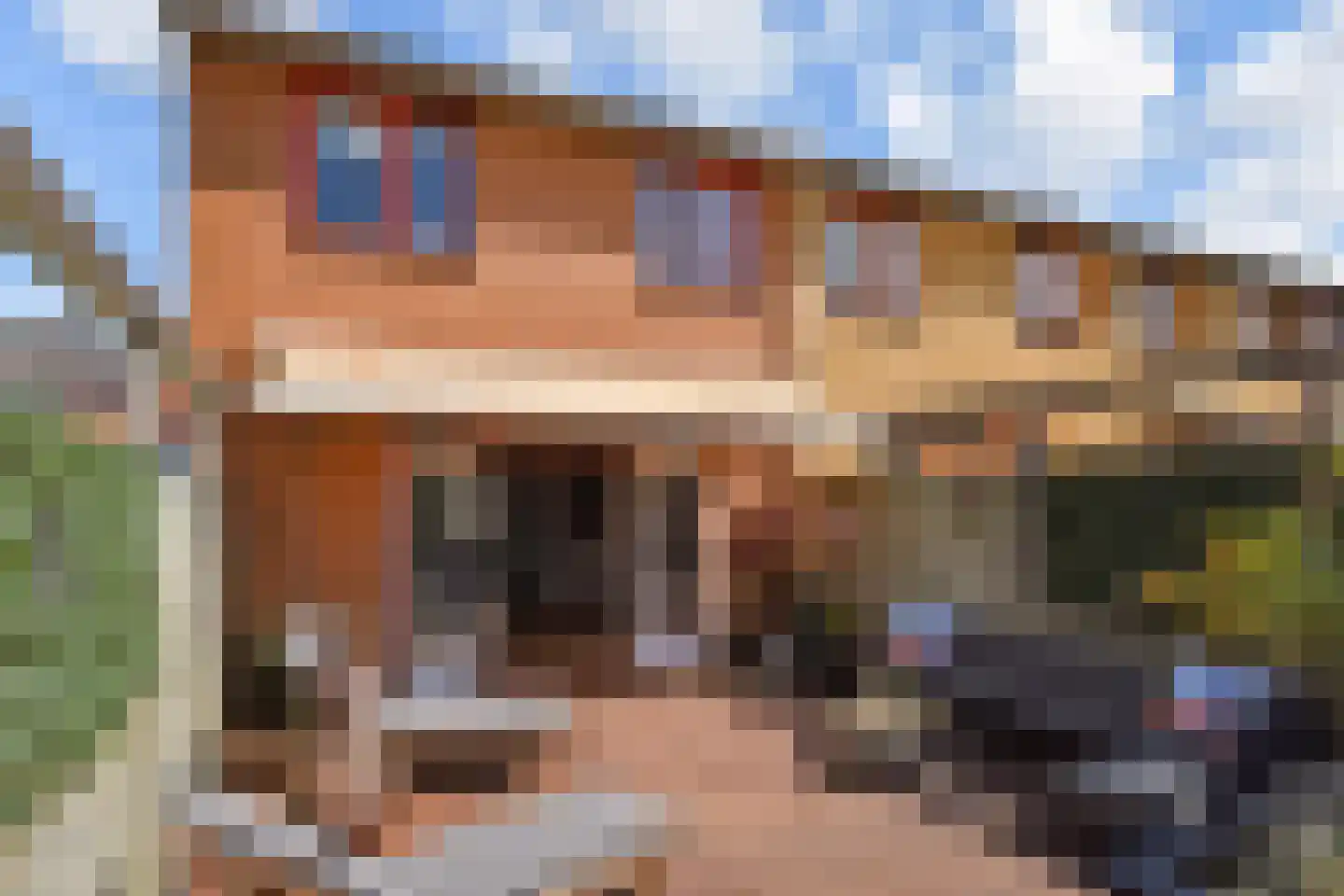 Operatie Mannahof 7 Nootdorp thumbnail 4