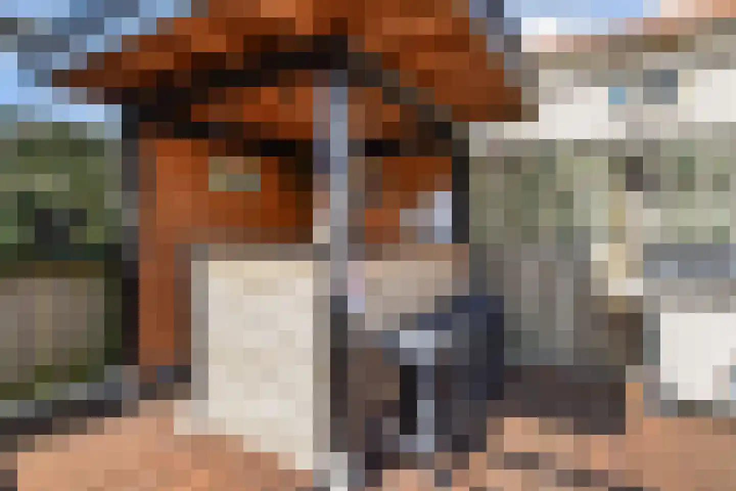 Operatie Mannahof 7 Nootdorp thumbnail 43