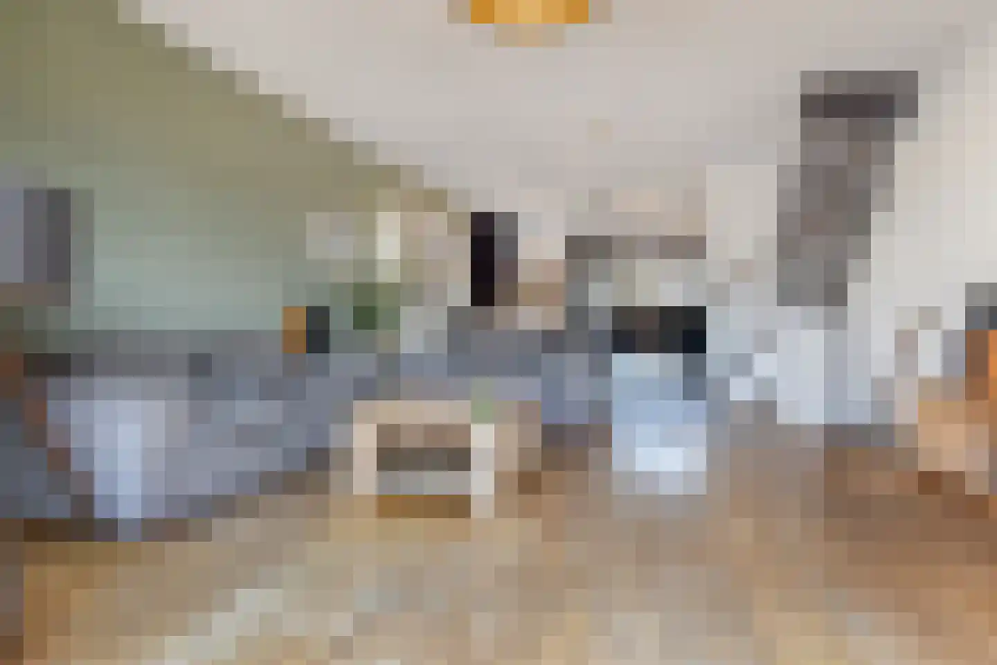 Operatie Mannahof 7 Nootdorp thumbnail 5
