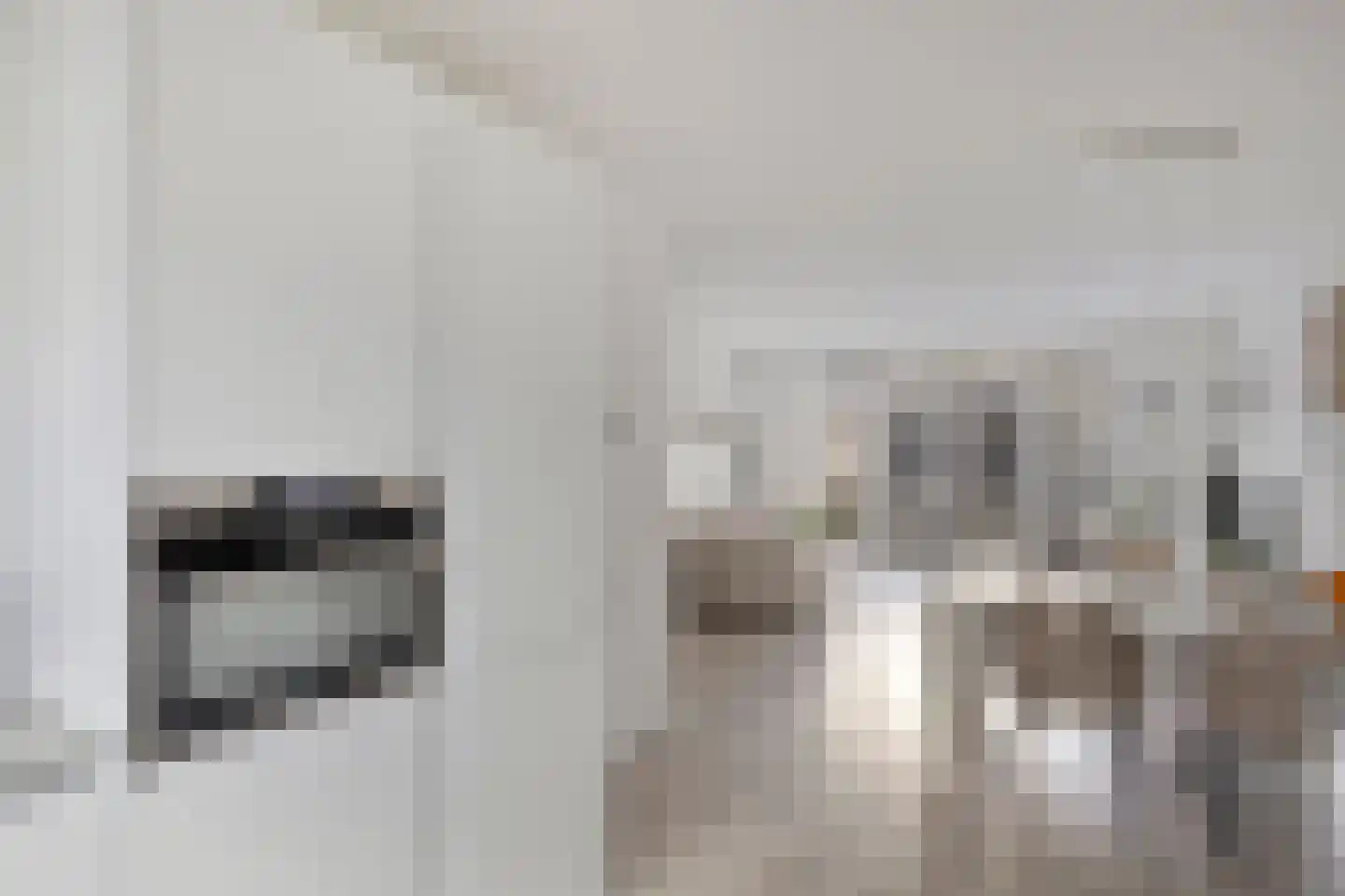 Operaweg 22 Amersfoort thumbnail 12