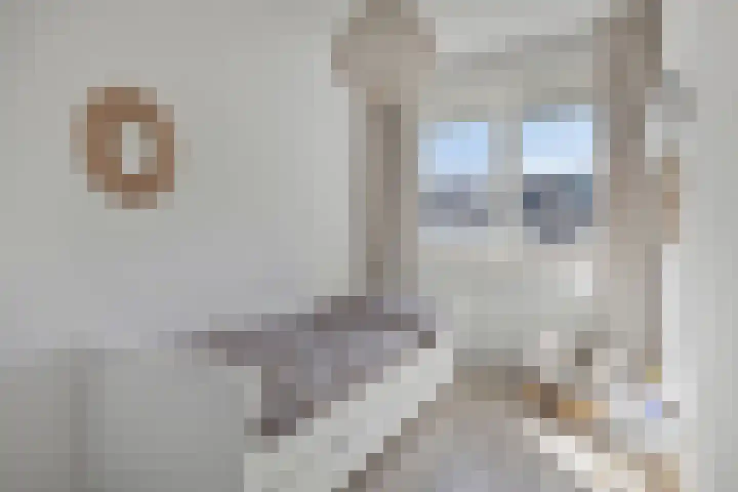 Operaweg 22 Amersfoort thumbnail 19