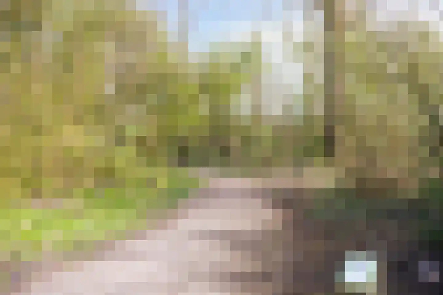 Operaweg 22 Amersfoort thumbnail 34
