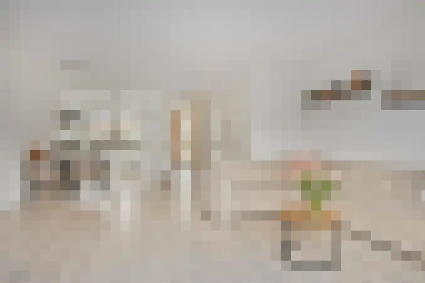 Operaweg 22 Amersfoort thumbnail 7
