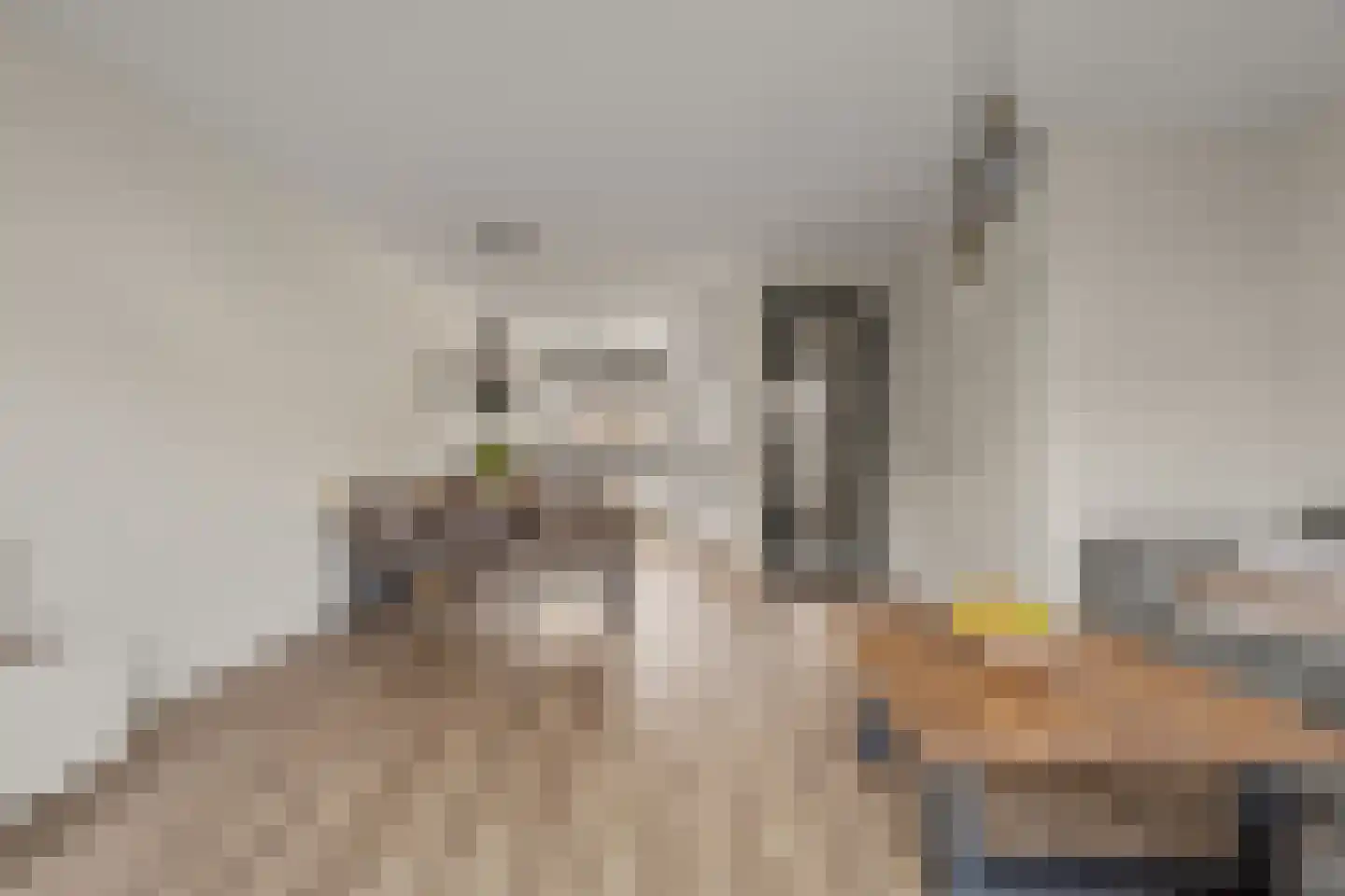 Operaweg 24 Amersfoort thumbnail 12