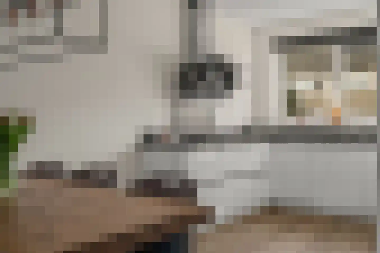 Operaweg 24 Amersfoort thumbnail 18