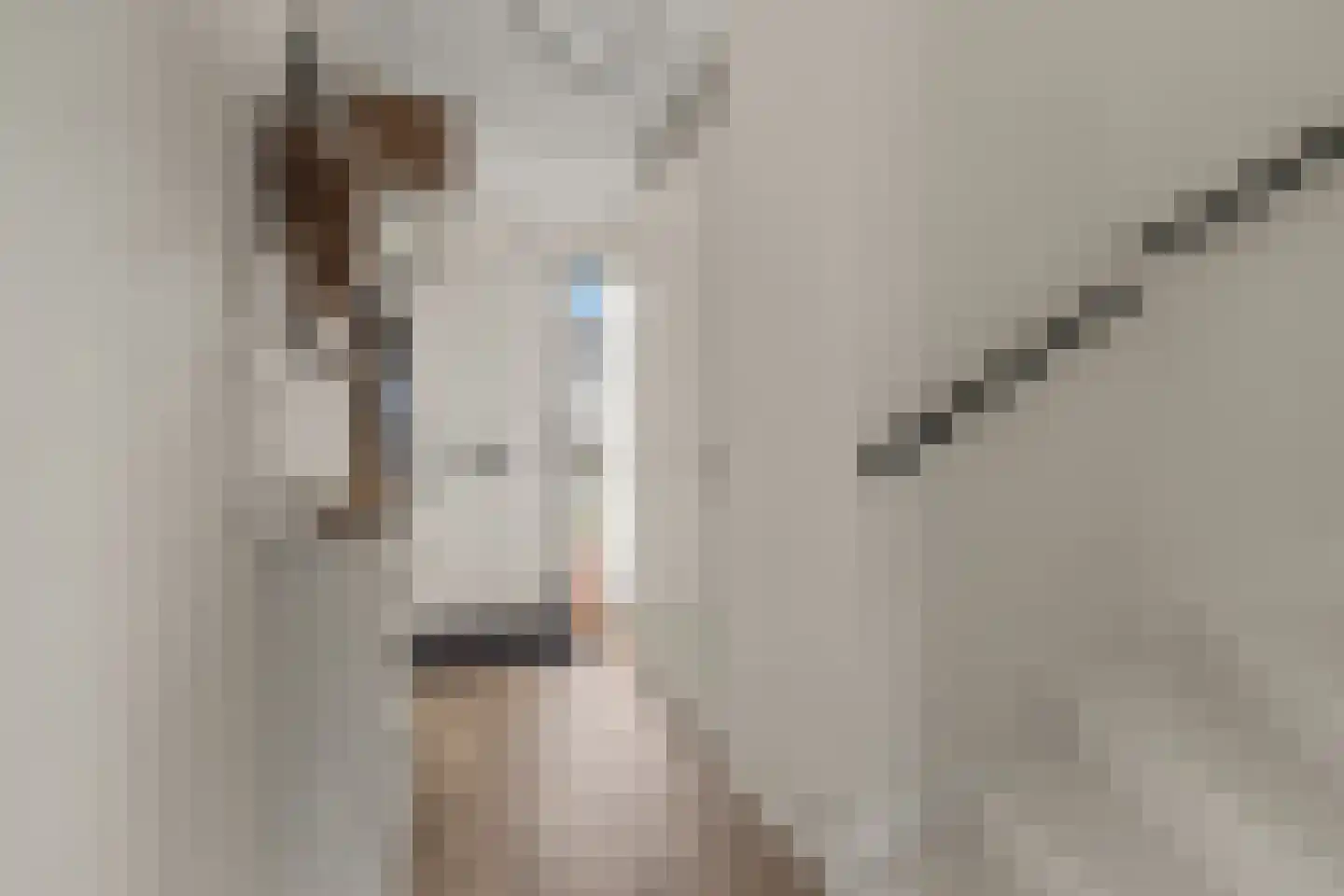 Operaweg 24 Amersfoort thumbnail 24