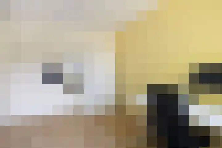 Operaweg 28 Amersfoort thumbnail 24