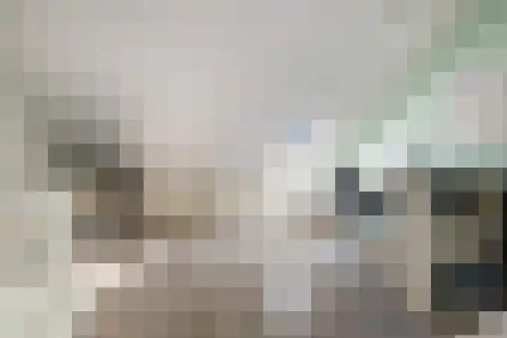 Operaweg 28 Amersfoort thumbnail 28