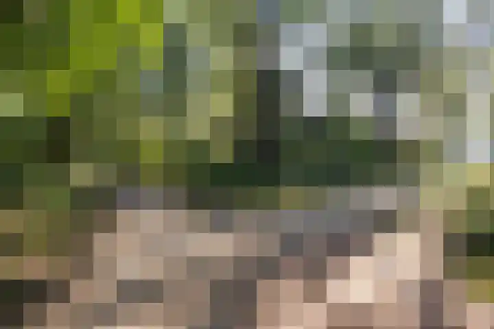 Operaweg 28 Amersfoort thumbnail 36