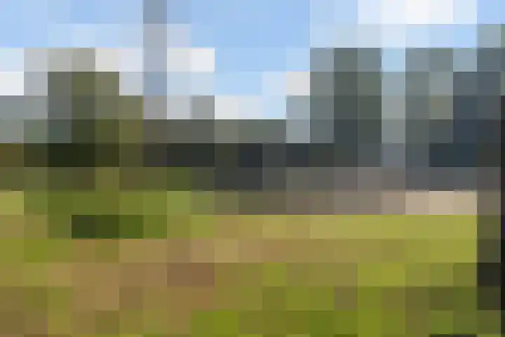 Operaweg 28 Amersfoort thumbnail 37