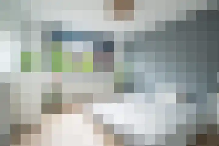 Operettedreef 19 Harderwijk thumbnail 21