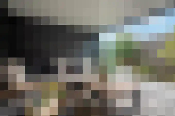 Operettedreef 19 Harderwijk thumbnail 29