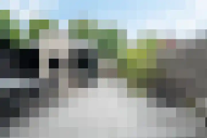 Operettedreef 19 Harderwijk thumbnail 30