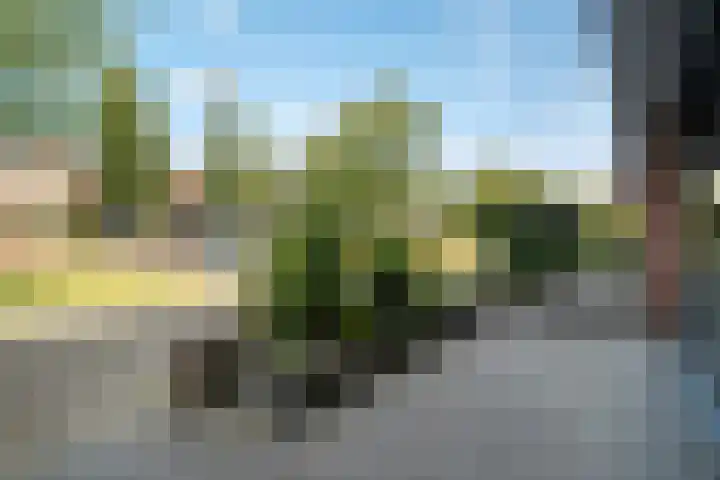 Operettedreef 19 Harderwijk thumbnail 32
