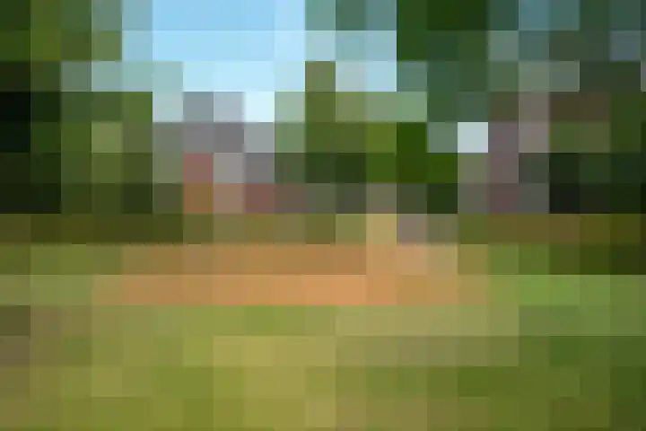 Operettedreef 19 Harderwijk thumbnail 39