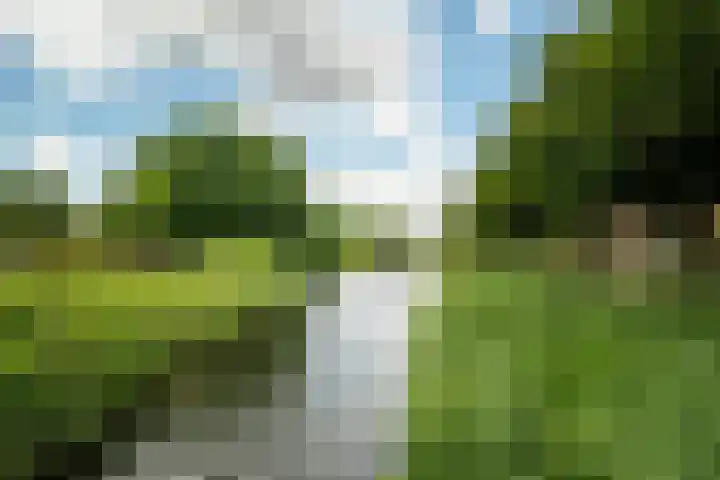 Operettedreef 19 Harderwijk thumbnail 40