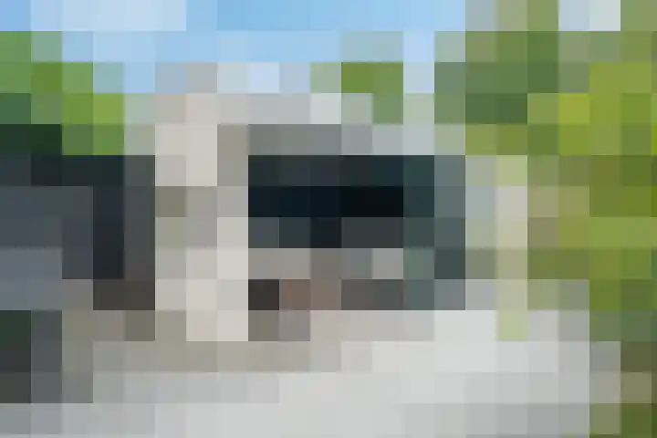 Operettedreef 19 Harderwijk thumbnail 6