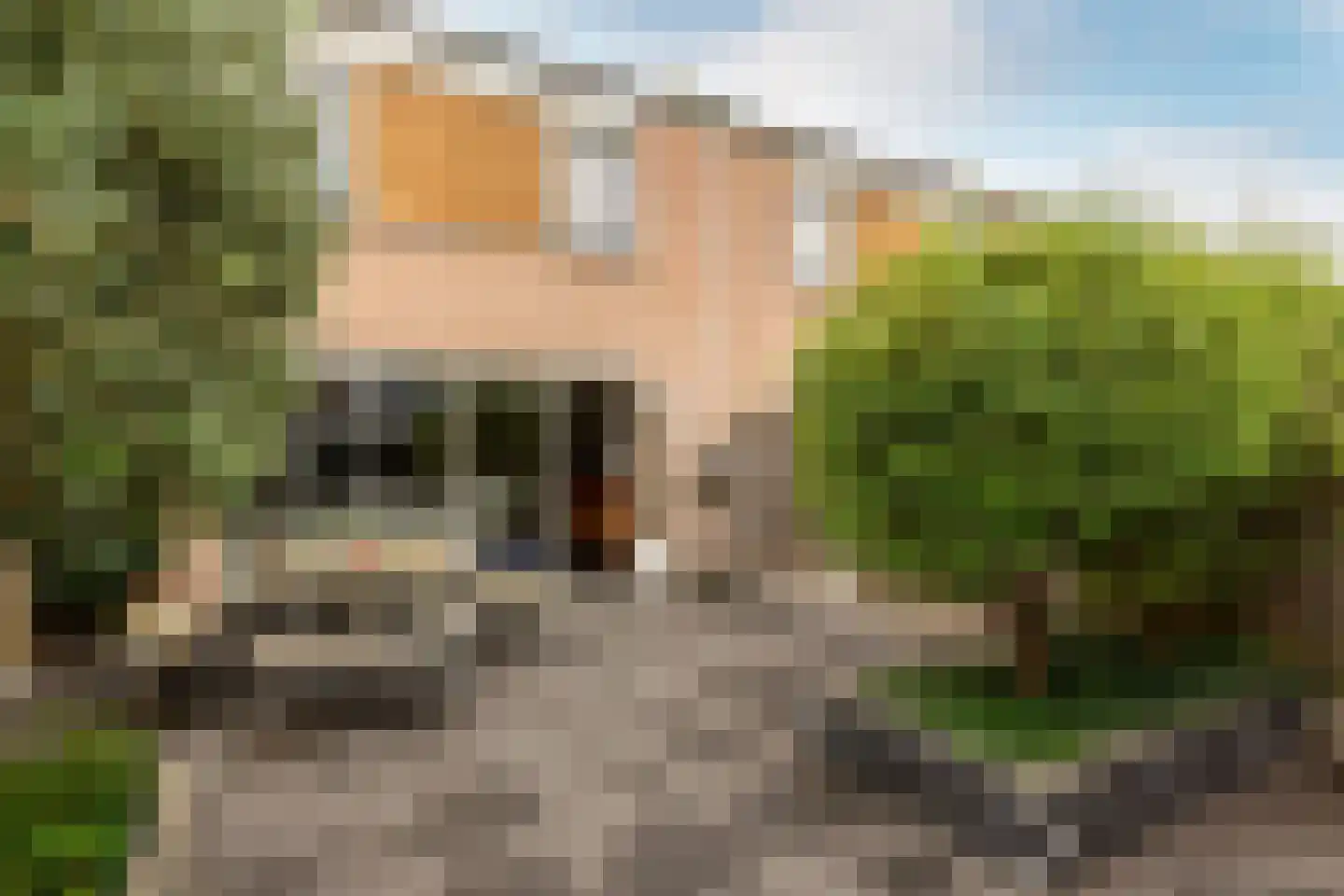 Operettedreef 24 Harderwijk thumbnail 31