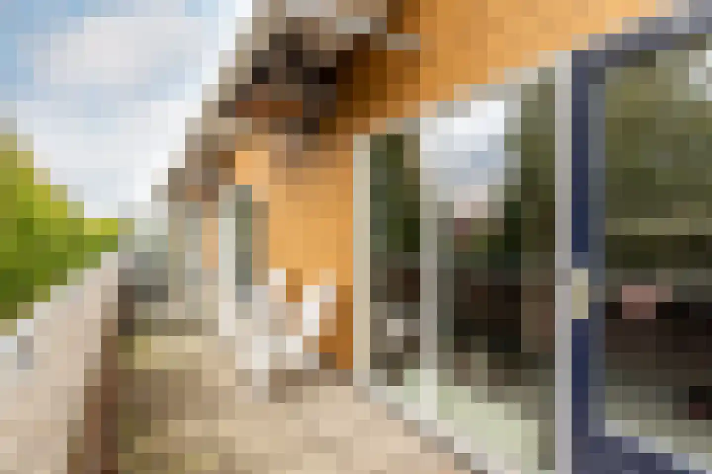 Operettedreef 24 Harderwijk thumbnail 36