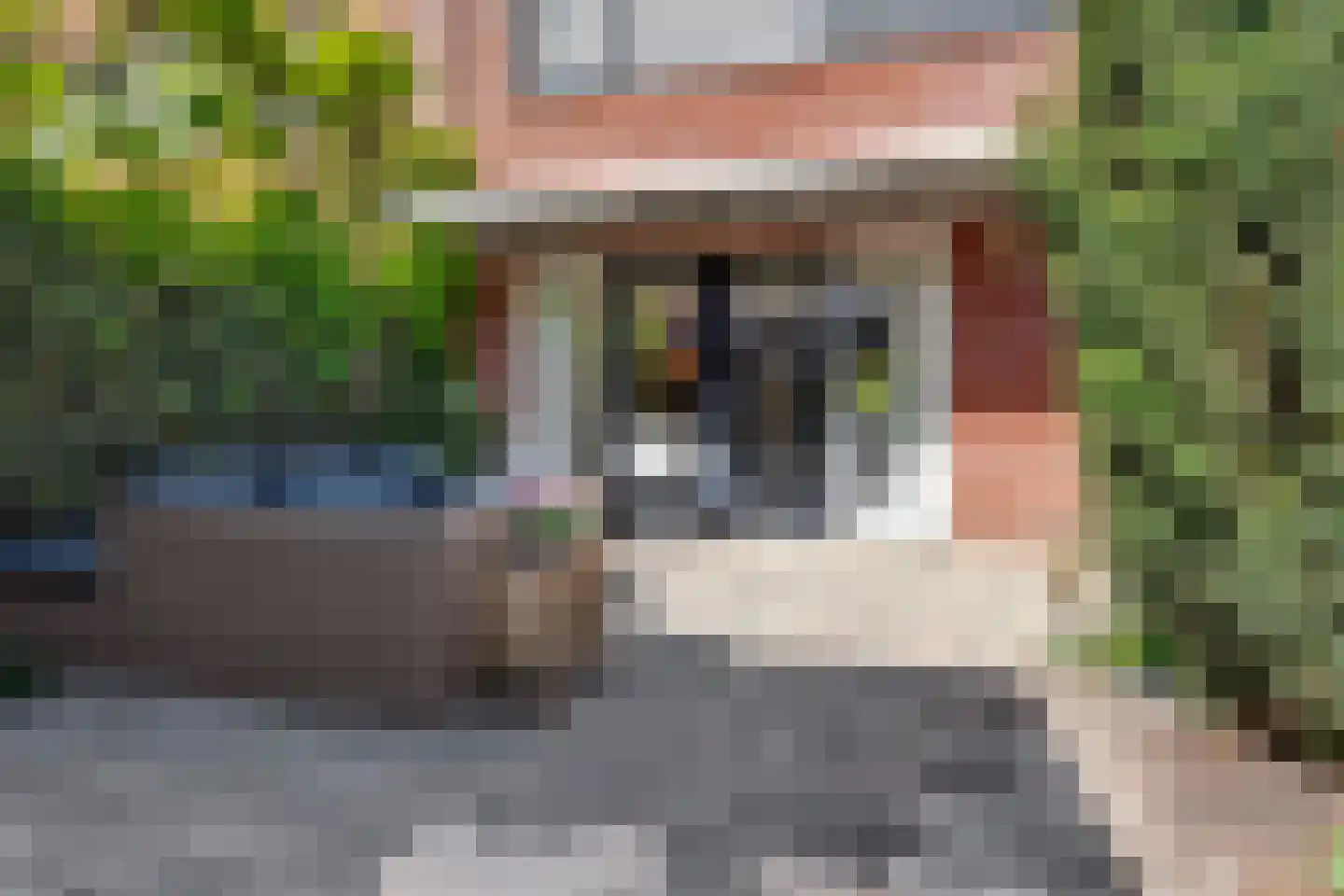 Operettedreef 25 Harderwijk thumbnail 30