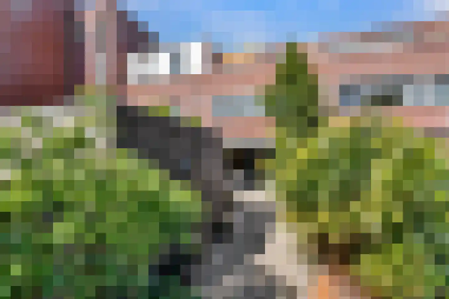 Operettedreef 25 Harderwijk thumbnail 31
