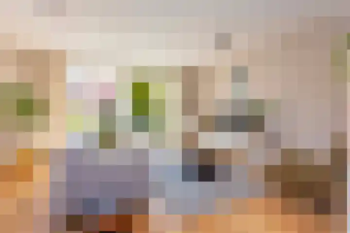 Operettelaan 361 Utrecht thumbnail 10