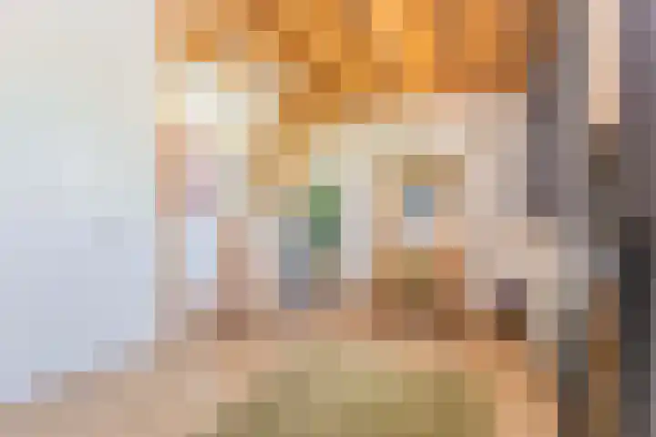 Operettelaan 361 Utrecht thumbnail 36